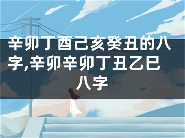 辛卯丁酉己亥癸丑的八字,辛卯辛卯丁丑乙巳八字