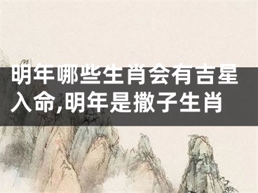 明年哪些生肖会有吉星入命,明年是撒子生肖