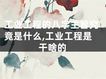 工业工程的八字主旨究竟是什么,工业工程是干啥的