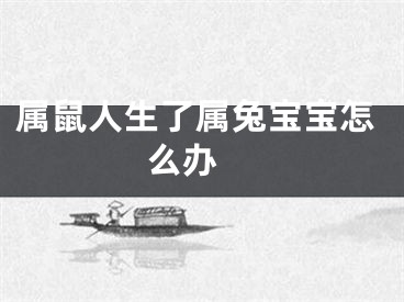 属鼠人生了属兔宝宝怎么办 