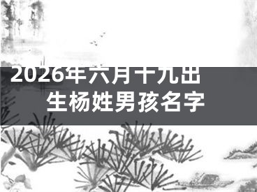 2026年六月十九出生杨姓男孩名字