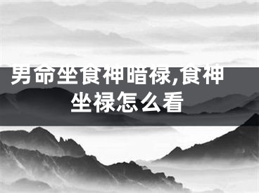 男命坐食神暗禄,食神坐禄怎么看