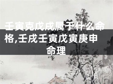 壬寅克戊戌属于什么命格,壬戌壬寅戊寅庚申命理
