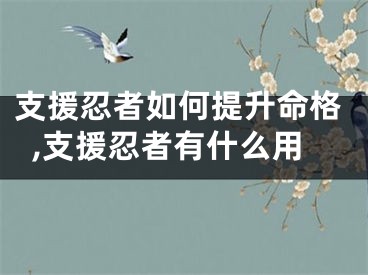 支援忍者如何提升命格,支援忍者有什么用