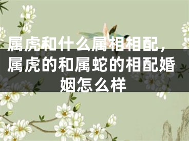 属虎和什么属相相配，属虎的和属蛇的相配婚姻怎么样