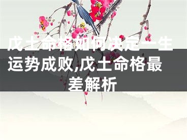 戊土命格如何决定一生运势成败,戊土命格最差解析