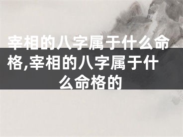 宰相的八字属于什么命格,宰相的八字属于什么命格的