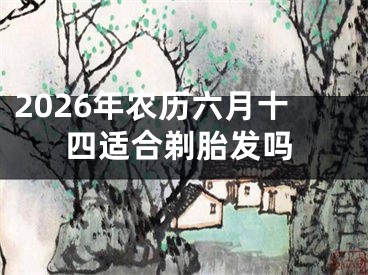 2026年农历六月十四适合剃胎发吗