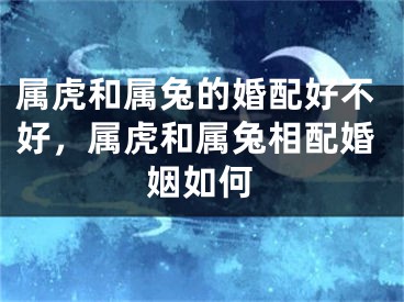 属虎和属兔的婚配好不好，属虎和属兔相配婚姻如何
