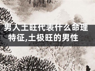 男人土旺代表什么命理特征,土极旺的男性