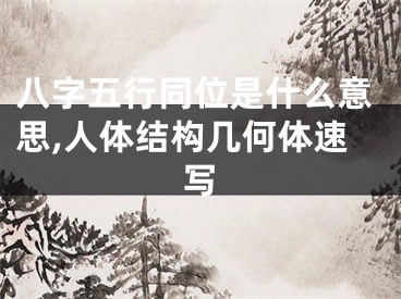 八字五行同位是什么意思,人体结构几何体速写