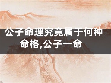 公子命理究竟属于何种命格,公子一命