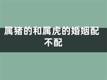 属猪的和属虎的婚姻配不配