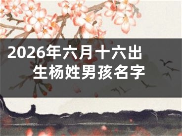 2026年六月十六出生杨姓男孩名字