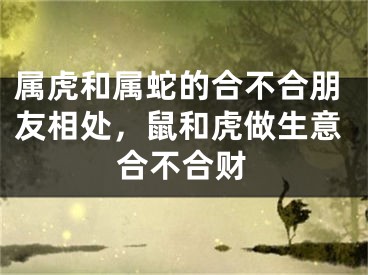属虎和属蛇的合不合朋友相处，鼠和虎做生意合不合财