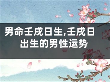 男命壬戌日生,壬戌日出生的男性运势