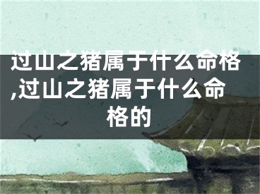 过山之猪属于什么命格,过山之猪属于什么命格的