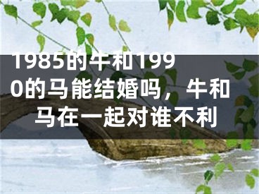 1985的牛和1990的马能结婚吗，牛和马在一起对谁不利