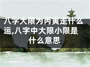 八字大限为丙寅走什么运,八字中大限小限是什么意思