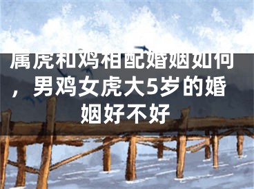 属虎和鸡相配婚姻如何，男鸡女虎大5岁的婚姻好不好