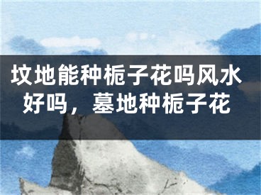 坟地能种栀子花吗风水好吗，墓地种栀子花