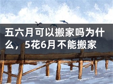 五六月可以搬家吗为什么，5花6月不能搬家