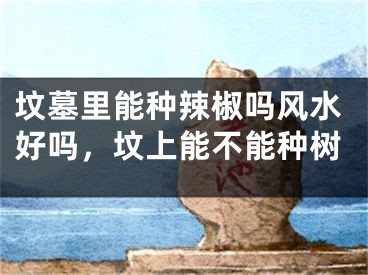 坟墓里能种辣椒吗风水好吗,坟上能不能种树