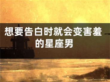 想要告白时就会变害羞的星座男
