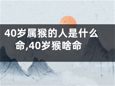 40岁属猴的人是什么命,40岁猴啥命