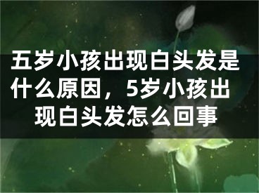 五岁小孩出现白头发是什么原因，5岁小孩出现白头发怎么回事