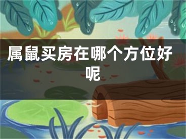 属鼠买房在哪个方位好呢