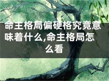 命主格局偏硬格究竟意味着什么,命主格局怎么看