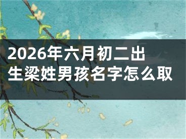 2026年六月初二出生梁姓男孩名字怎么取