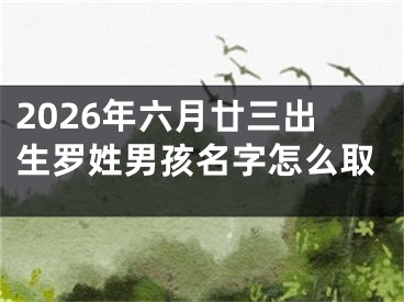 2026年六月廿三出生罗姓男孩名字怎么取