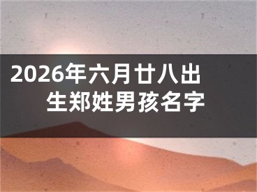 2026年六月廿八出生郑姓男孩名字
