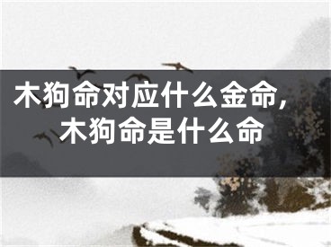 木狗命对应什么金命,木狗命是什么命