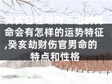 癸亥日柱劫财三透的男命会有怎样的运势特征,癸亥劫财伤官男命的特点和性格