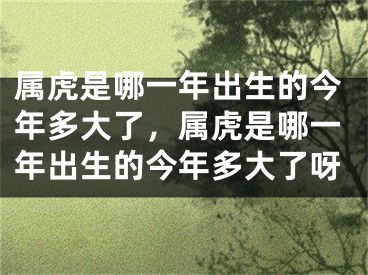 属虎是哪一年出生的今年多大了，属虎是哪一年出生的今年多大了呀