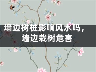 墙边树桩影响风水吗，墙边栽树危害
