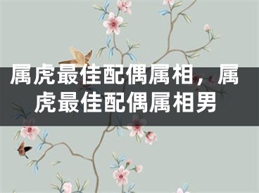 属虎最佳配偶属相，属虎最佳配偶属相男