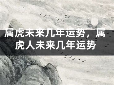 属虎未来几年运势，属虎人未来几年运势