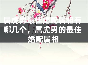 属虎男最佳婚配属相有哪几个，属虎男的最佳婚配属相