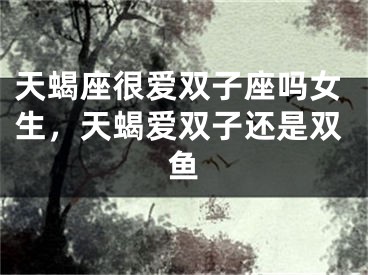 天蝎座很爱双子座吗女生，天蝎爱双子还是双鱼