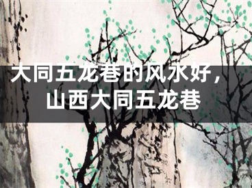 大同五龙巷的风水好，山西大同五龙巷