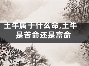 土牛属于什么命,土牛是苦命还是富命