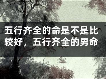 五行齐全的命是不是比较好，五行齐全的男命