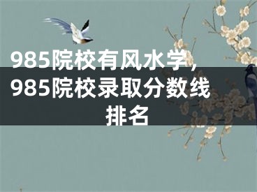985院校有风水学，985院校录取分数线排名