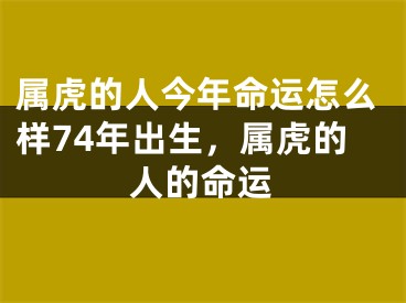 属虎的人今年命运怎么样74年出生，属虎的人的命运