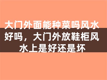 大门外面能种菜吗风水好吗，大门外放鞋柜风水上是好还是坏