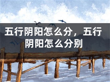 五行阴阳怎么分，五行阴阳怎么分别